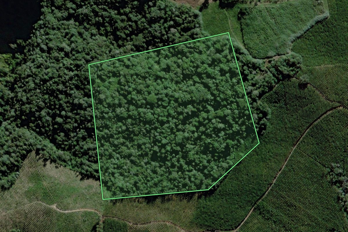 Imagem de satélite do imóvel rural em Dona Emma (SC), com o contorno declarado no CAR desenhado por cima.