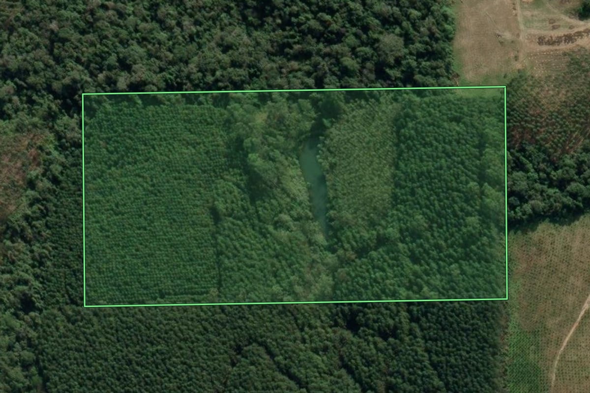 Imagem de satélite do imóvel rural em Dona Emma (SC), com o contorno declarado no CAR desenhado por cima.