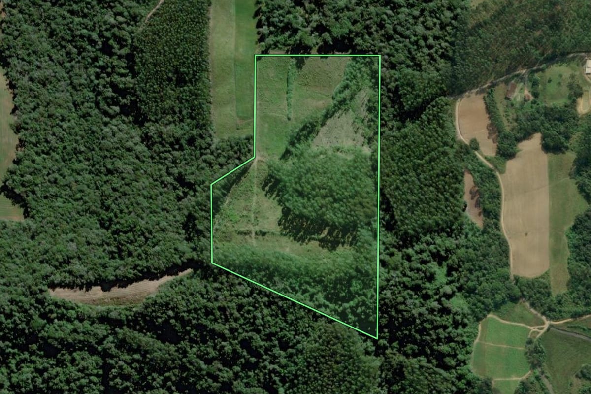 Imagem de satélite do imóvel rural em Dona Emma (SC), com o contorno declarado no CAR desenhado por cima.