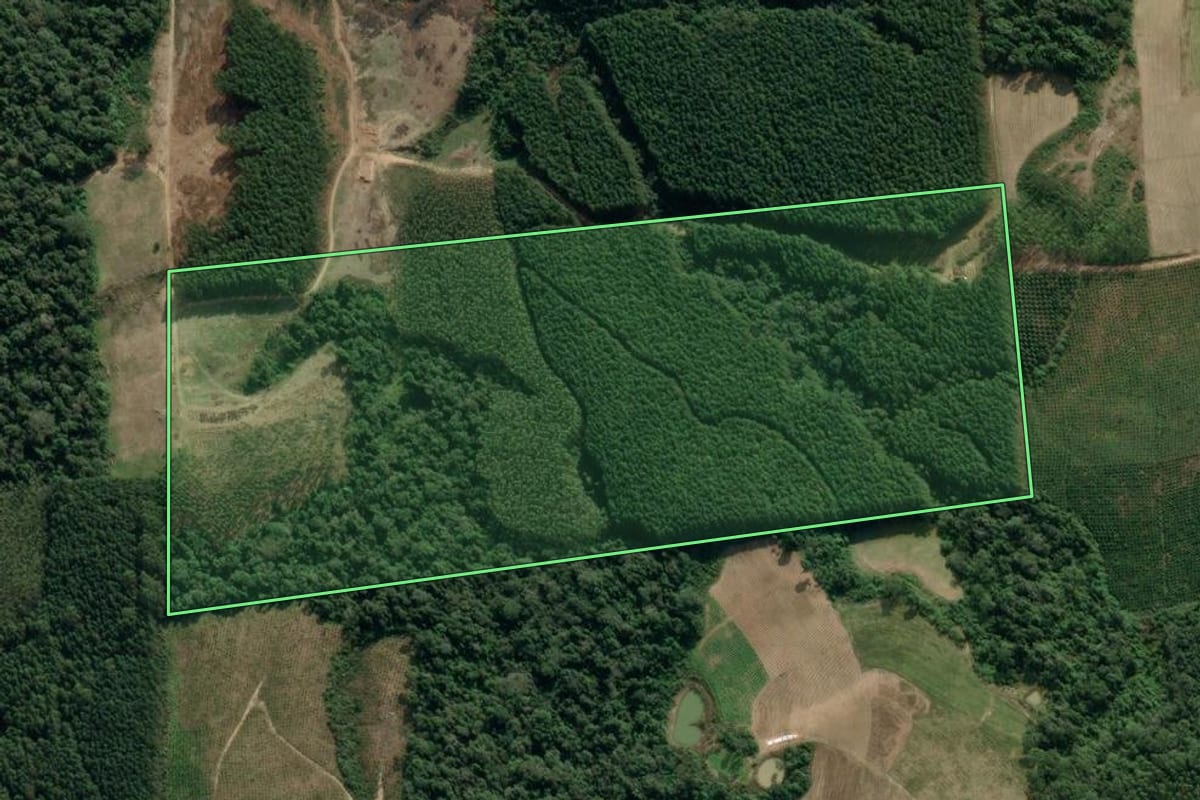 Imagem de satélite do imóvel rural em Dona Emma (SC), com o contorno declarado no CAR desenhado por cima.