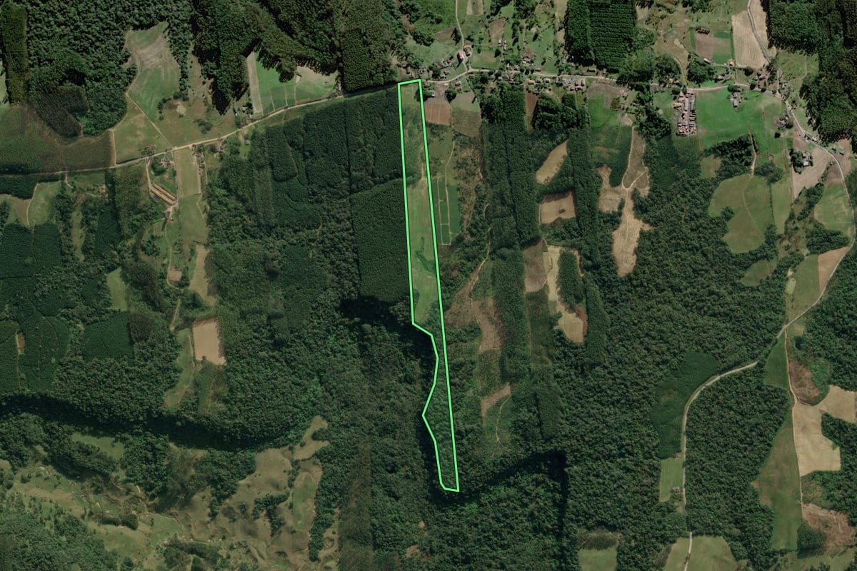 Imagem de satélite do imóvel rural em Dona Emma (SC), com o contorno declarado no CAR desenhado por cima.
