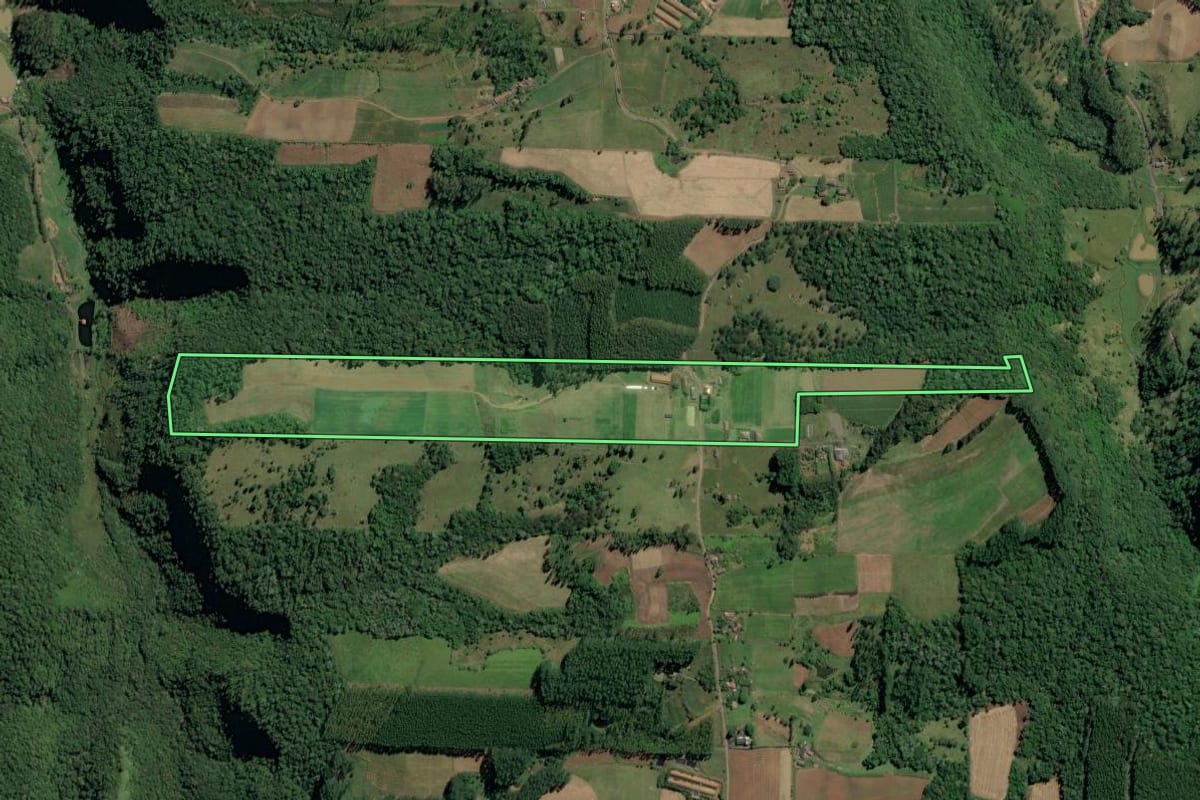 Imagem de satélite do imóvel rural em Dona Emma (SC), com o contorno declarado no CAR desenhado por cima.