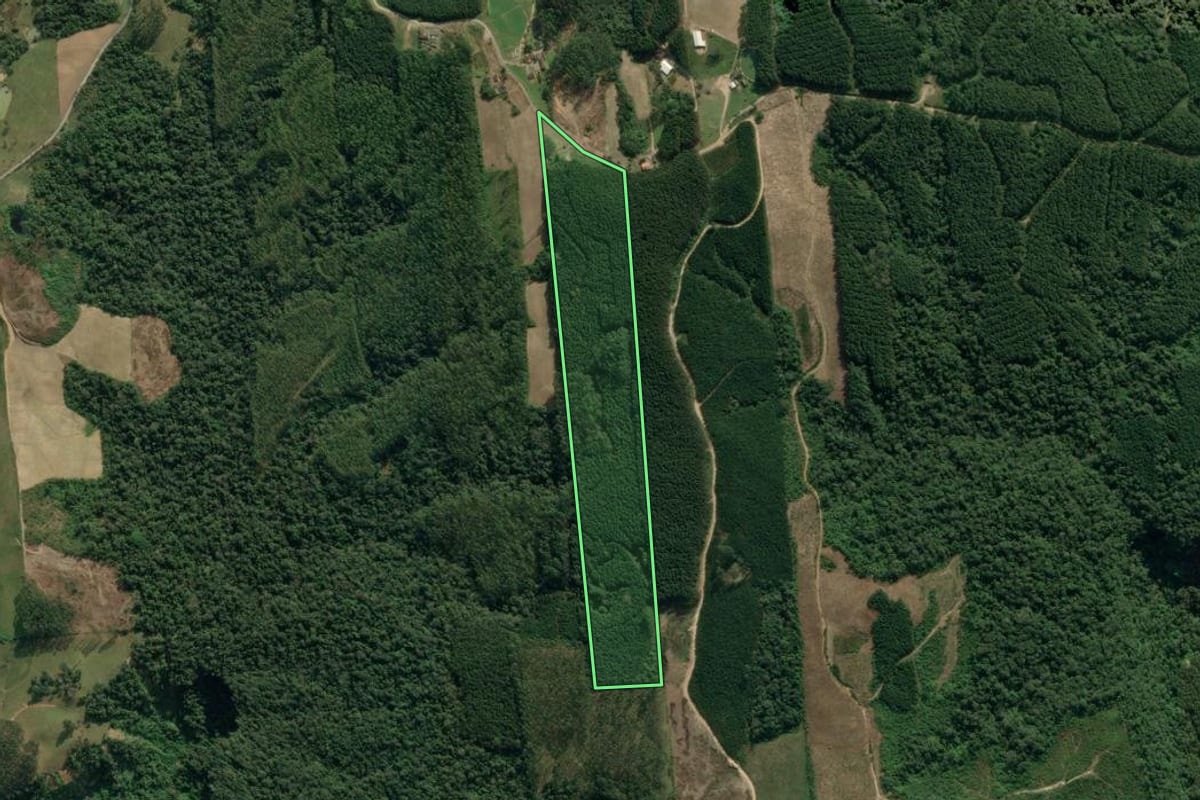 Imagem de satélite do imóvel rural em Dona Emma (SC), com o contorno declarado no CAR desenhado por cima.