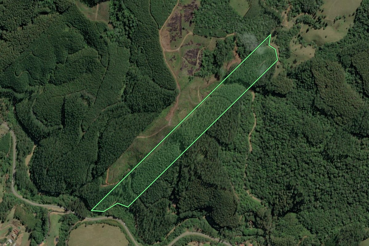 Imagem de satélite do imóvel rural em Dona Emma (SC), com o contorno declarado no CAR desenhado por cima.