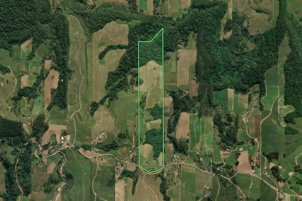 Imagem de satélite do imóvel rural em Dona Emma (SC), com o contorno declarado no CAR desenhado por cima.