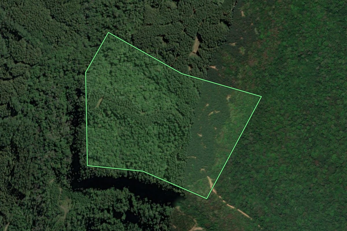 Imagem de satélite do imóvel rural em Dona Emma (SC), com o contorno declarado no CAR desenhado por cima.