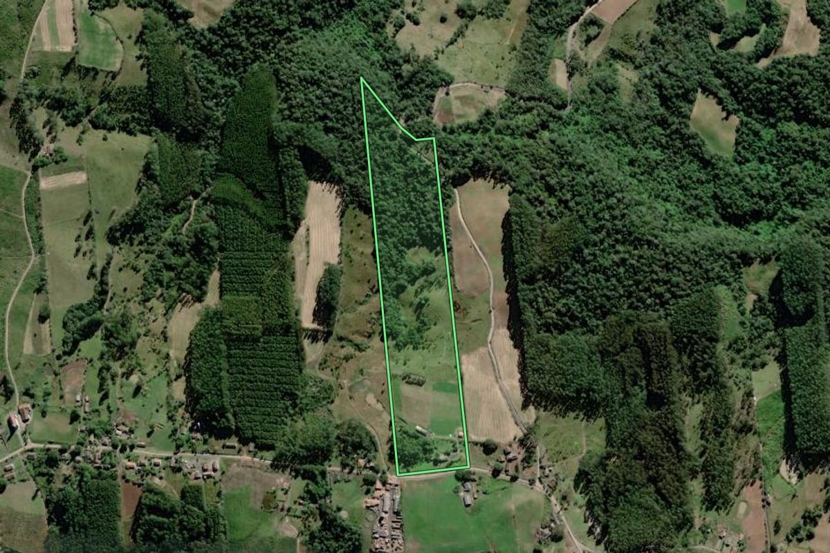 Imagem de satélite do imóvel rural em Dona Emma (SC), com o contorno declarado no CAR desenhado por cima.