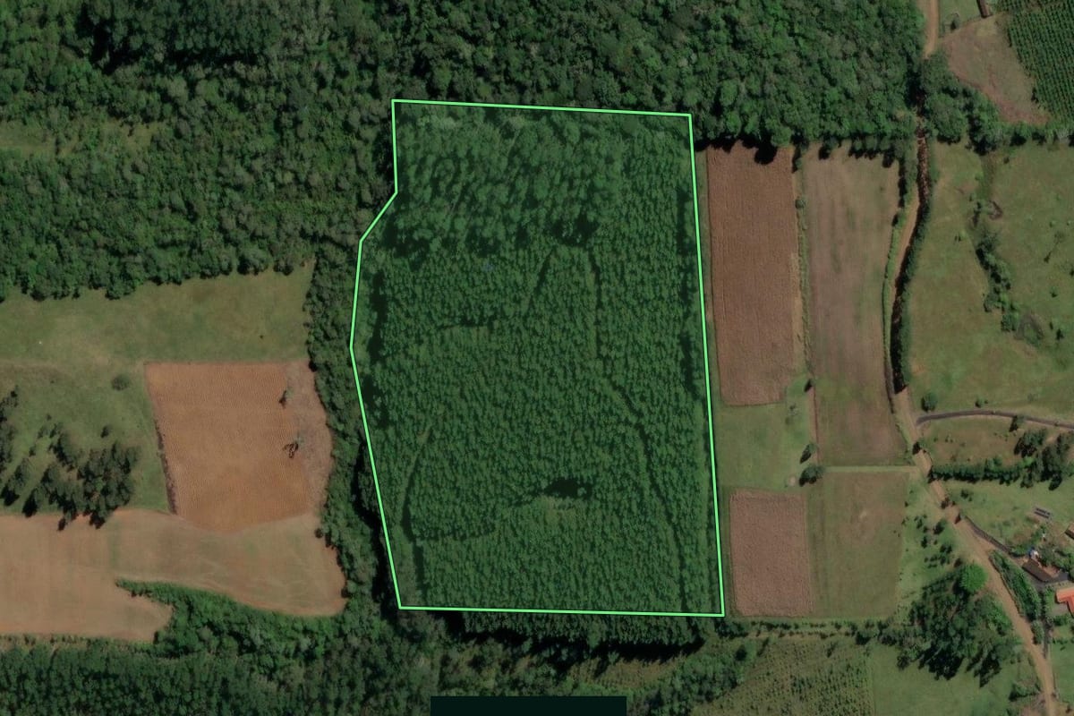 Imagem de satélite do imóvel rural em Dona Emma (SC), com o contorno declarado no CAR desenhado por cima.
