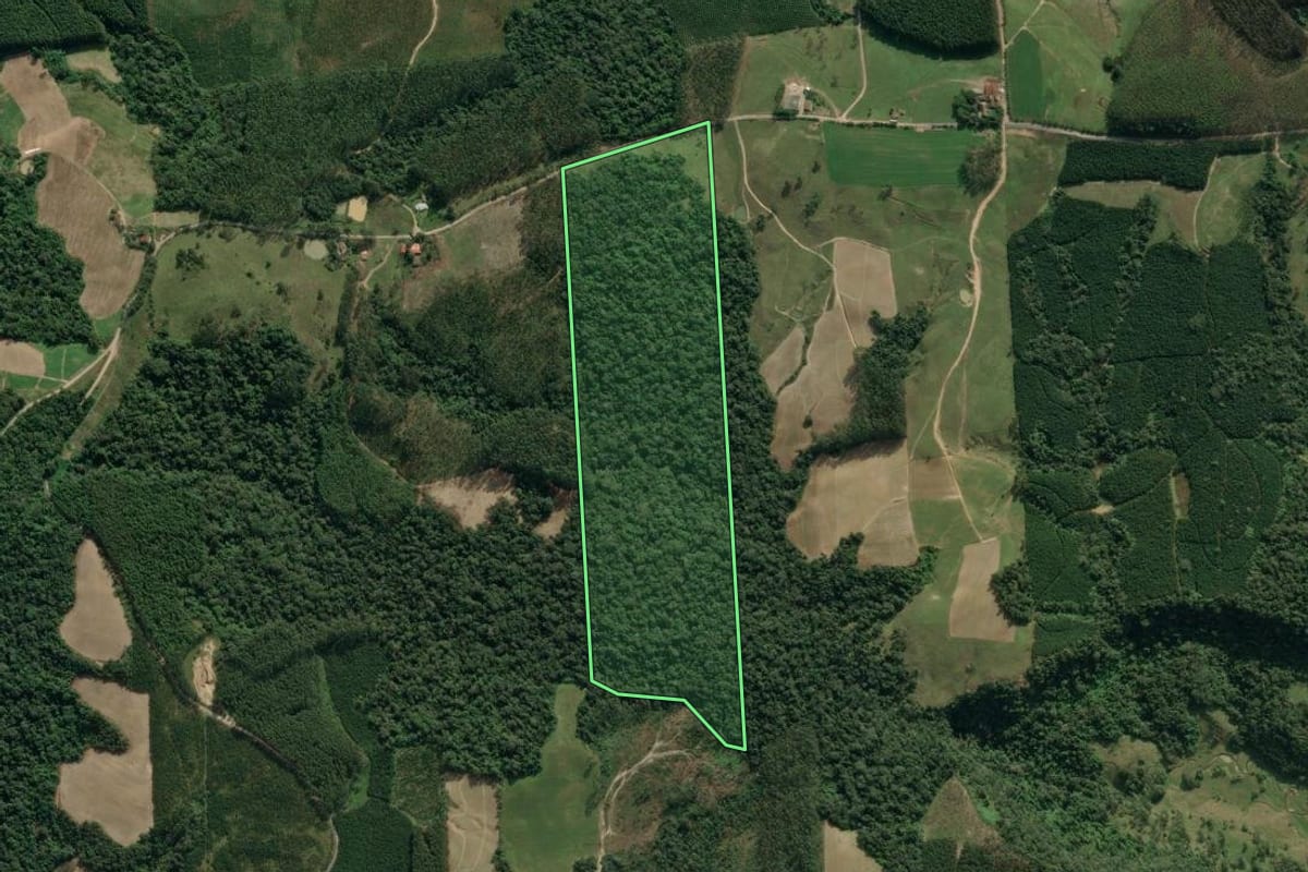 Imagem de satélite do imóvel rural em Dona Emma (SC), com o contorno declarado no CAR desenhado por cima.
