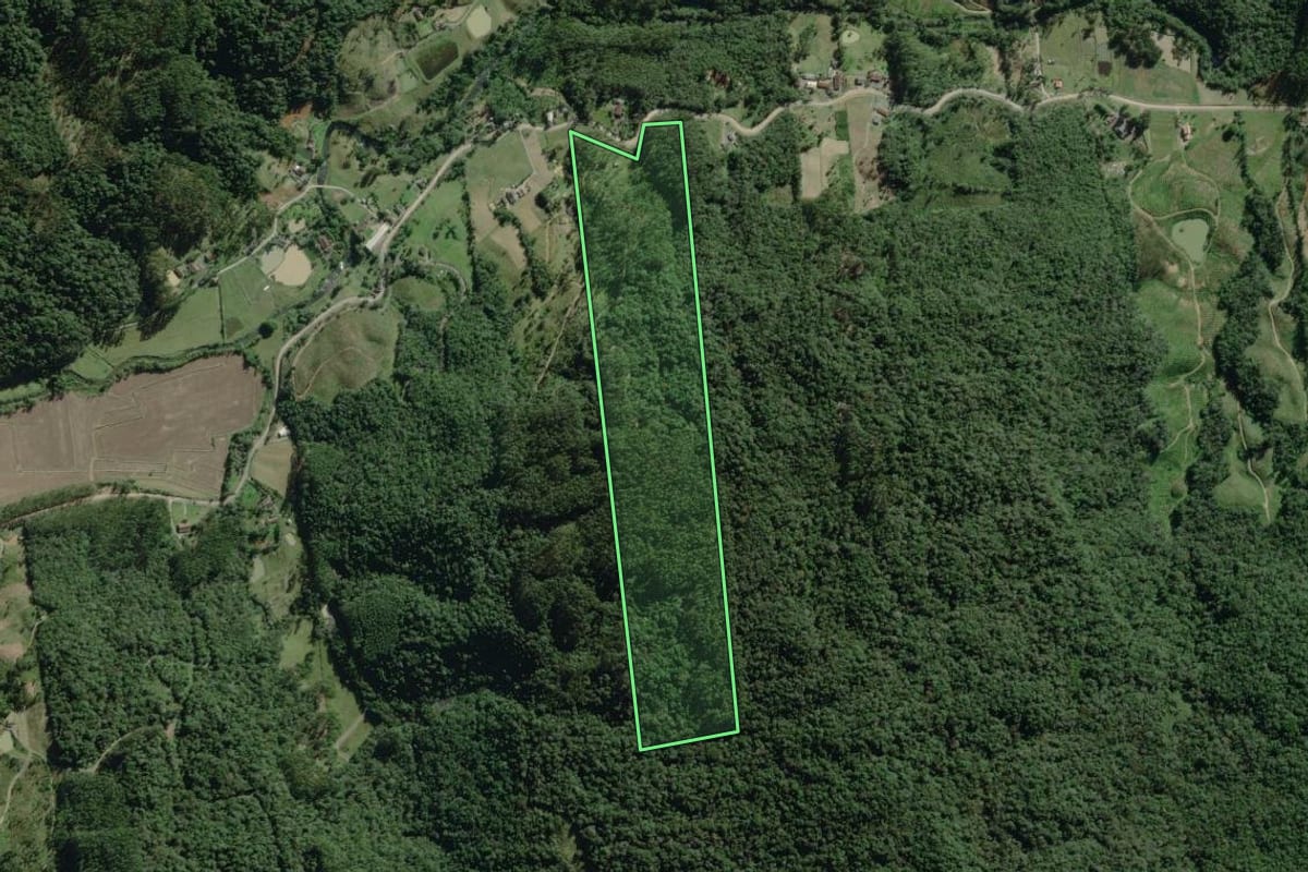 Imagem de satélite do imóvel rural em Doutor Pedrinho (SC), com o contorno declarado no CAR desenhado por cima.