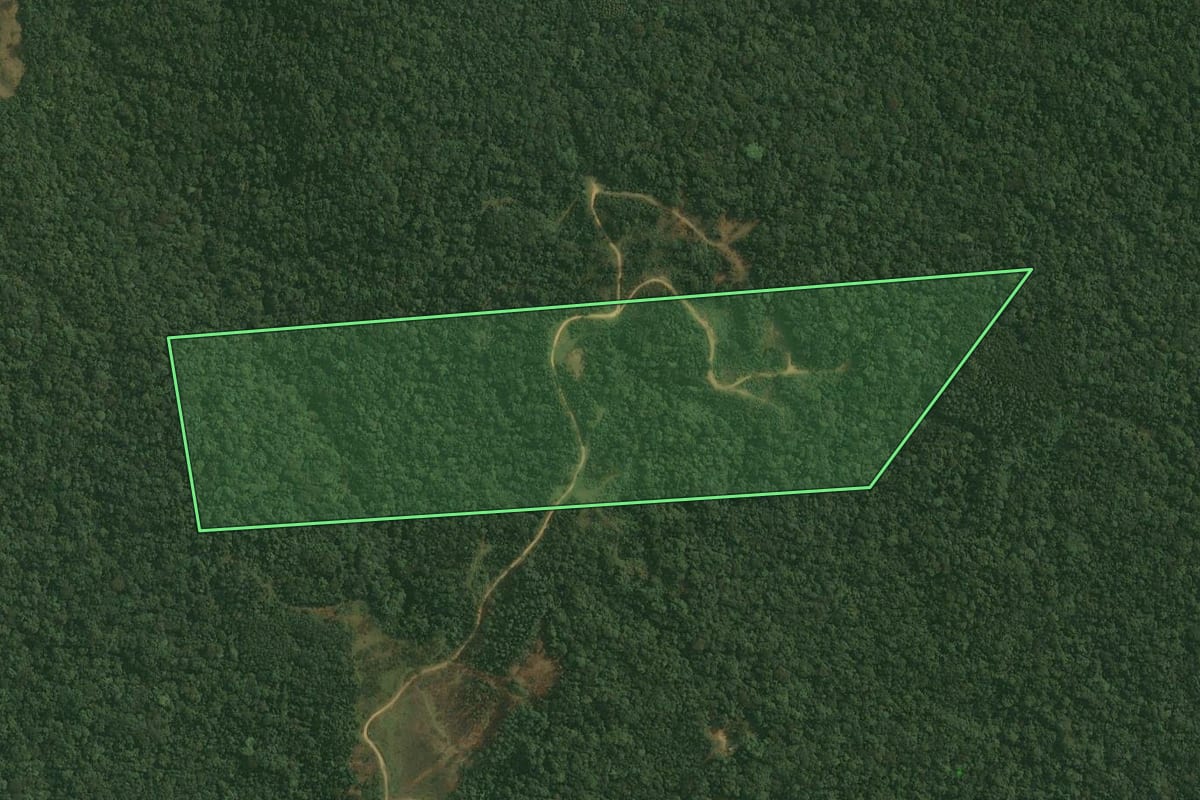 Imagem de satélite do imóvel rural em Doutor Pedrinho (SC), com o contorno declarado no CAR desenhado por cima.