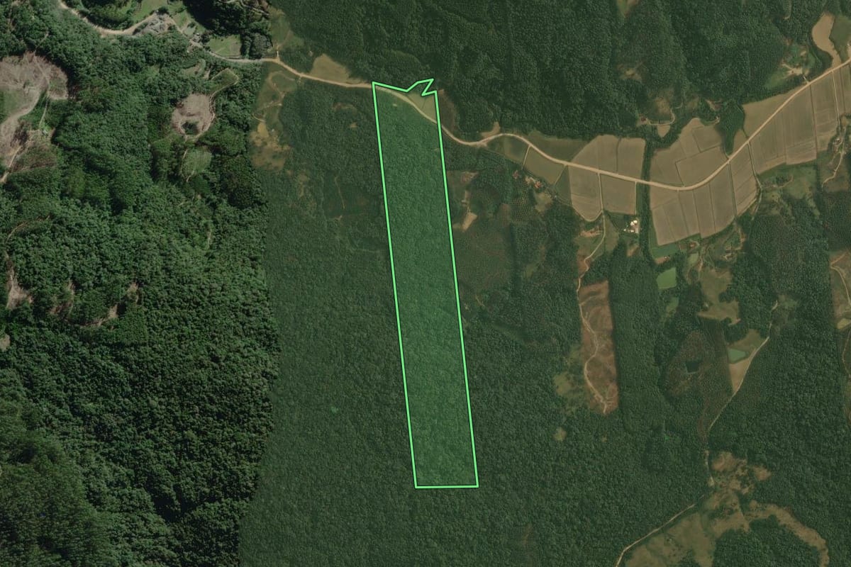 Imagem de satélite do imóvel rural em Doutor Pedrinho (SC), com o contorno declarado no CAR desenhado por cima.