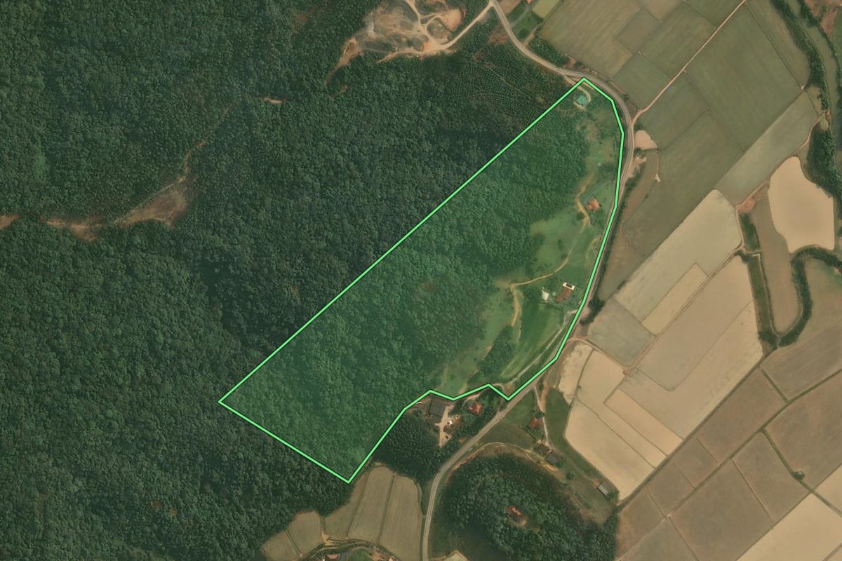 Imagem de satélite do imóvel rural em Doutor Pedrinho (SC), com o contorno declarado no CAR desenhado por cima.