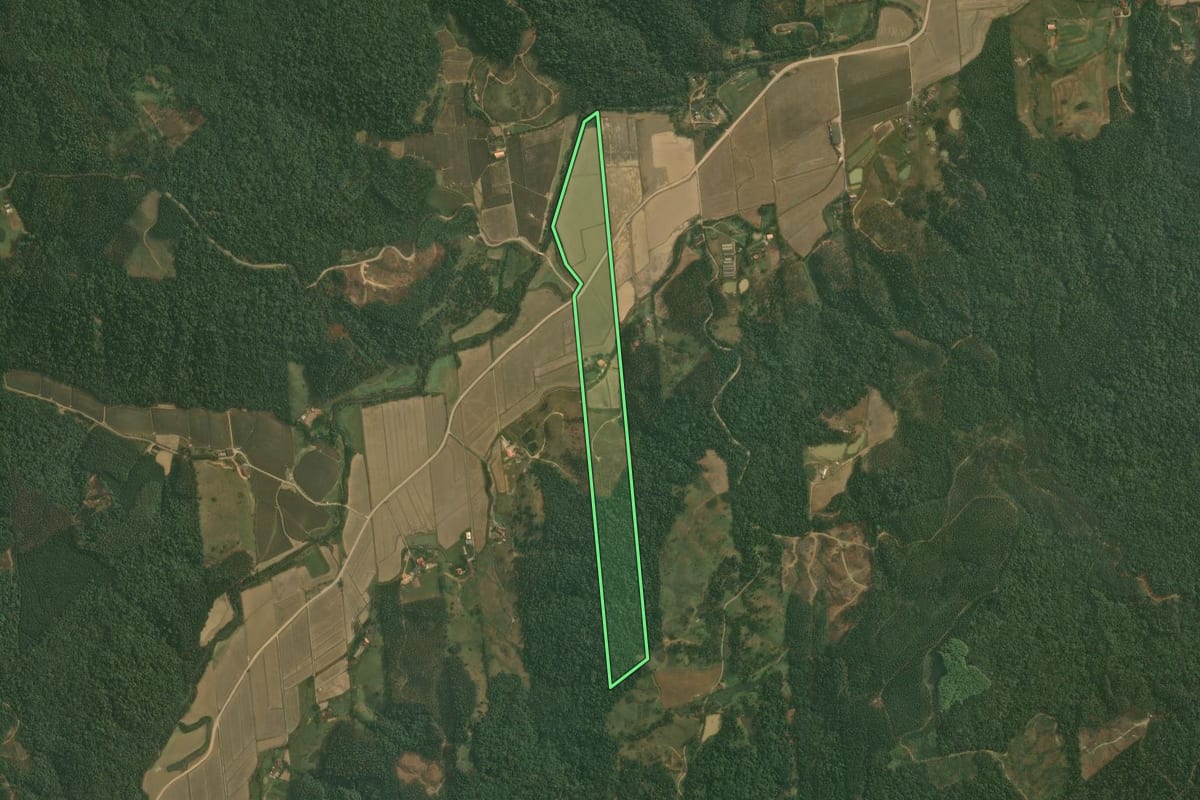 Imagem de satélite do imóvel rural em Doutor Pedrinho (SC), com o contorno declarado no CAR desenhado por cima.