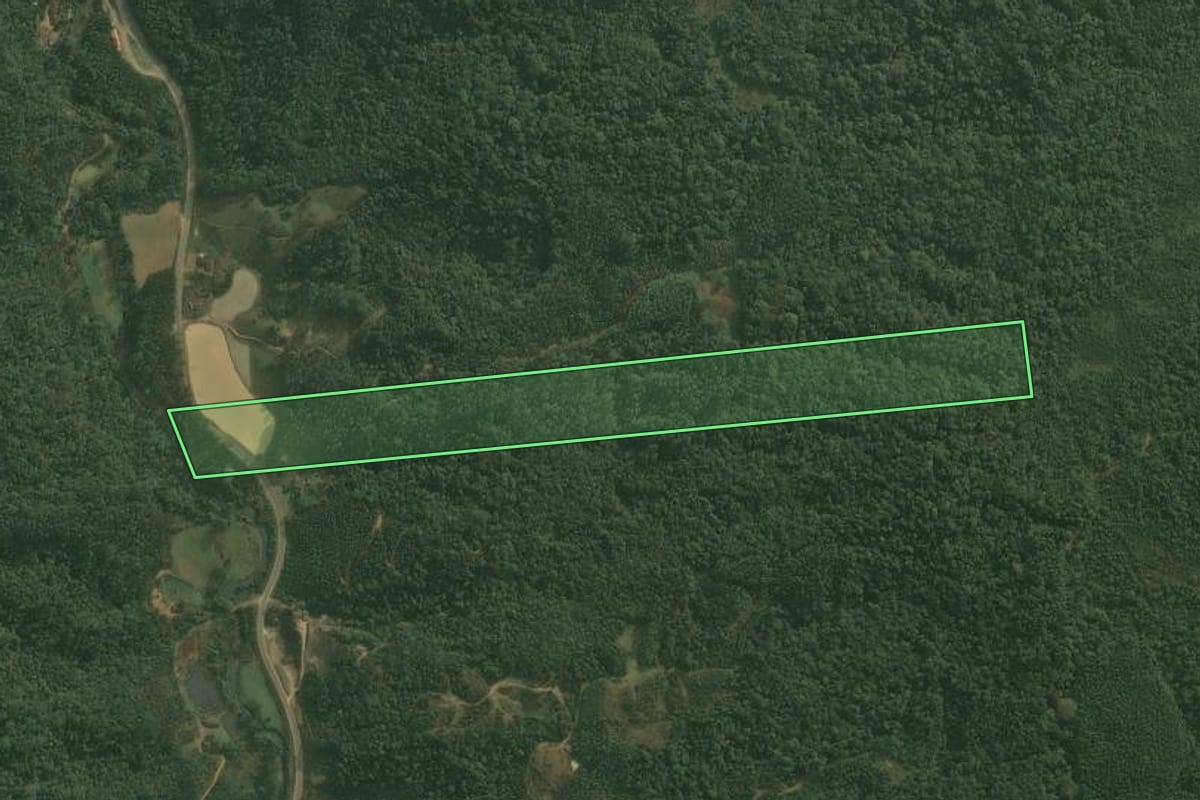 Imagem de satélite do imóvel rural em Doutor Pedrinho (SC), com o contorno declarado no CAR desenhado por cima.