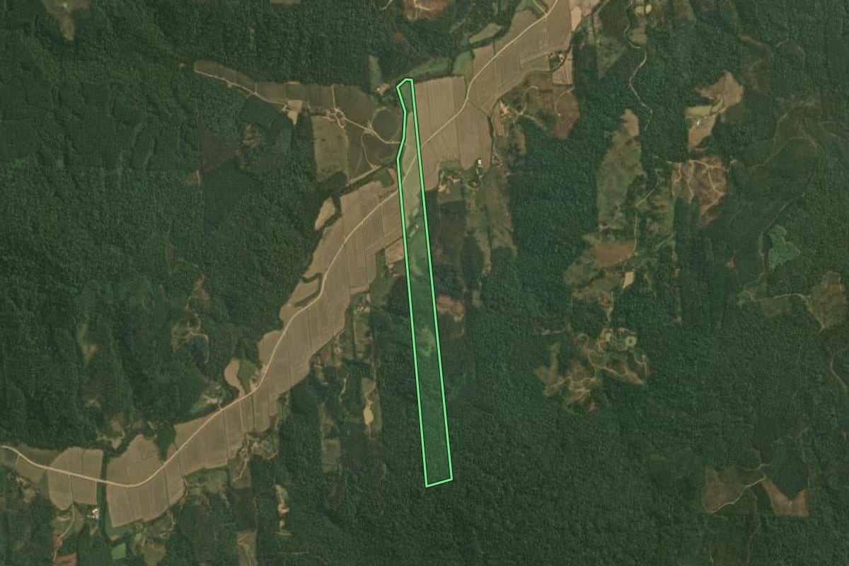 Imagem de satélite do imóvel rural em Doutor Pedrinho (SC), com o contorno declarado no CAR desenhado por cima.