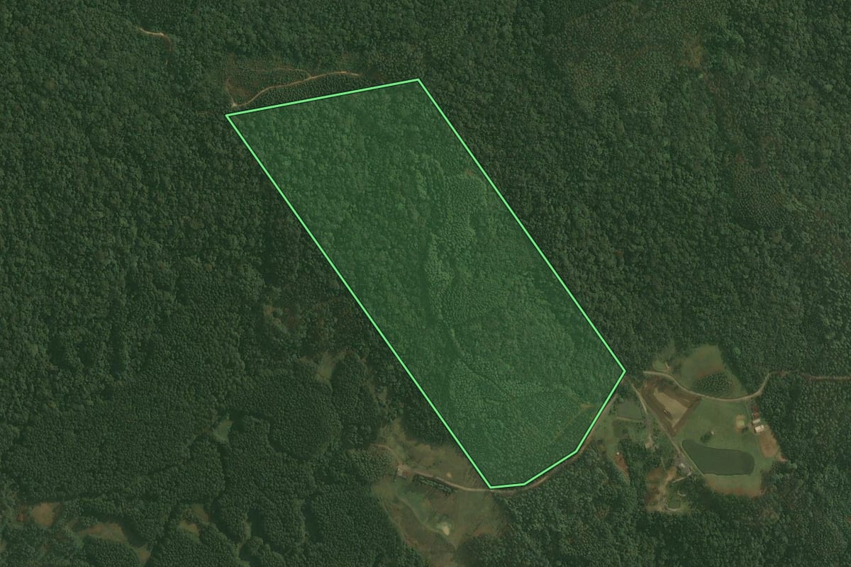Imagem de satélite do imóvel rural em Doutor Pedrinho (SC), com o contorno declarado no CAR desenhado por cima.