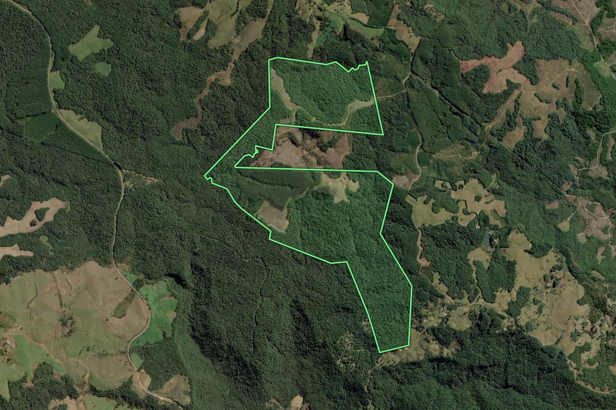 Imagem de satélite do imóvel rural em Doutor Pedrinho (SC), com o contorno declarado no CAR desenhado por cima.
