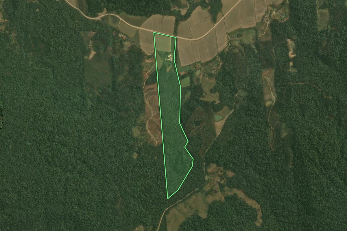 Imagem de satélite do imóvel rural em Doutor Pedrinho (SC), com o contorno declarado no CAR desenhado por cima.