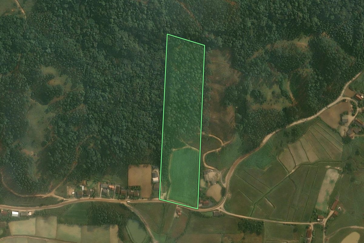 Imagem de satélite do imóvel rural em Doutor Pedrinho (SC), com o contorno declarado no CAR desenhado por cima.