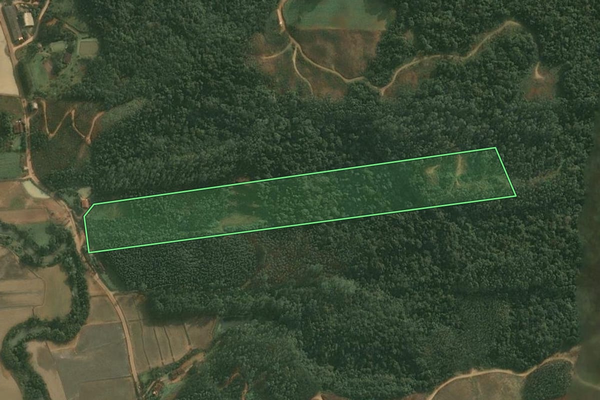 Imagem de satélite do imóvel rural em Doutor Pedrinho (SC), com o contorno declarado no CAR desenhado por cima.