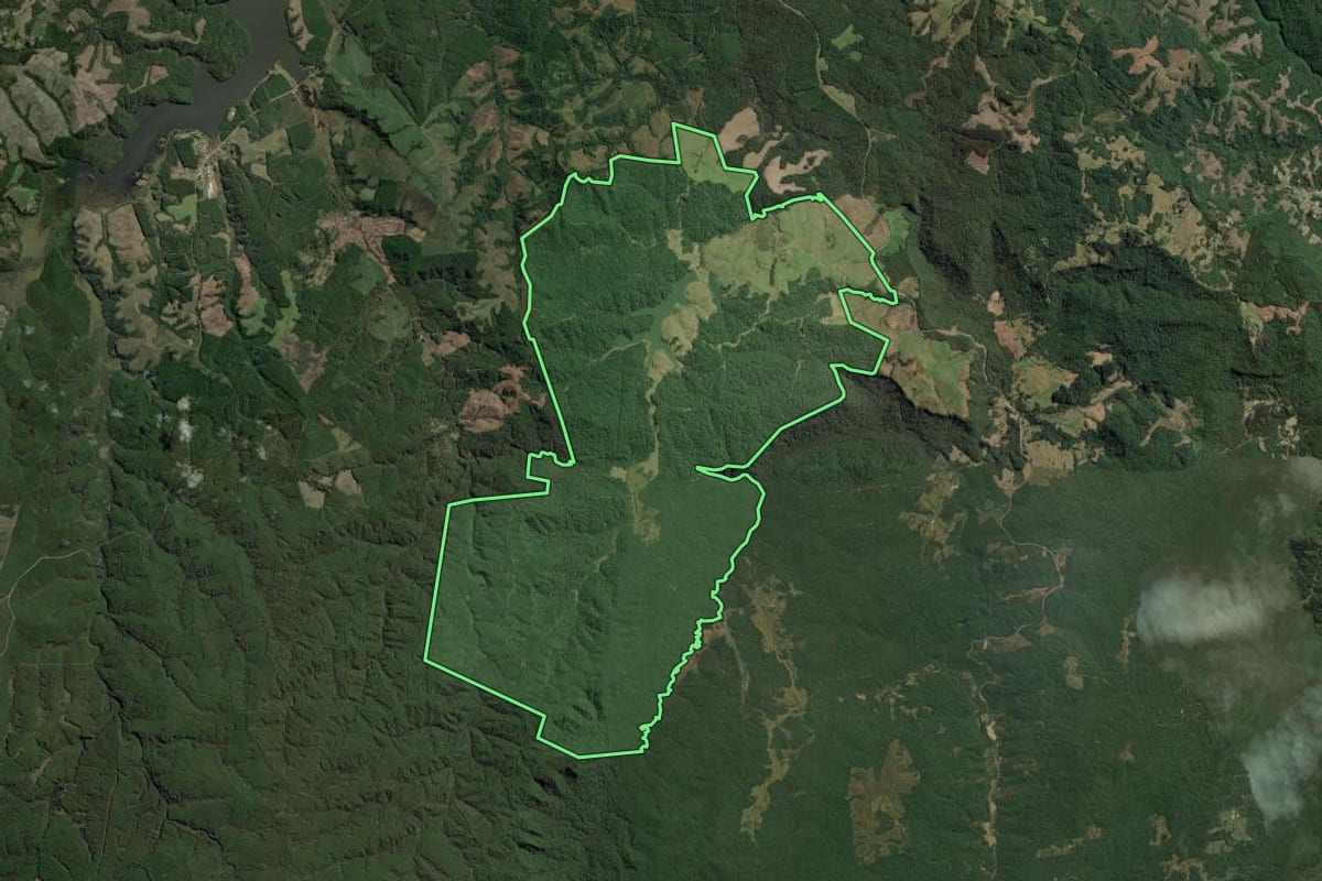 Imagem de satélite do imóvel rural em Doutor Pedrinho (SC), com o contorno declarado no CAR desenhado por cima.