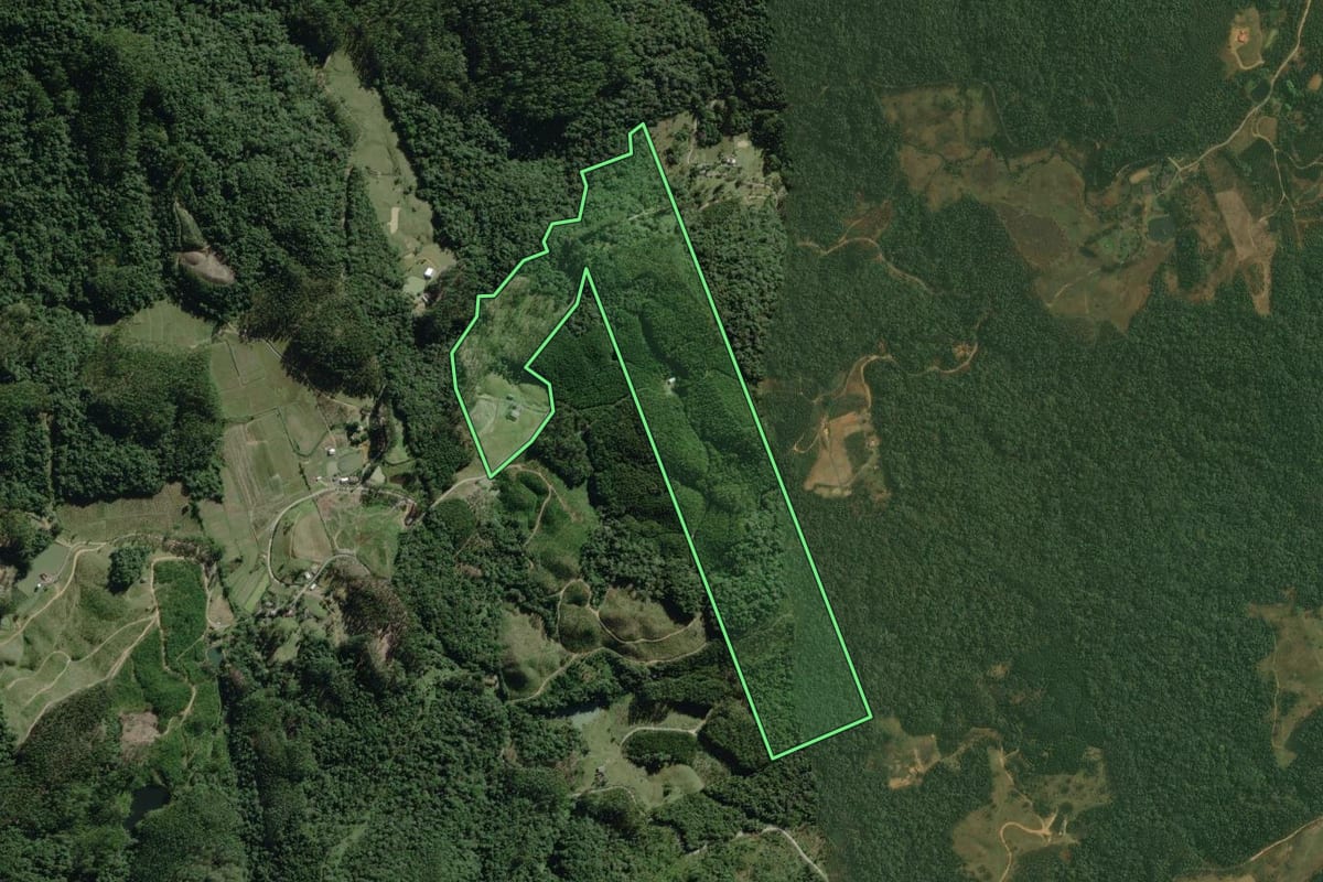 Imagem de satélite do imóvel rural em Doutor Pedrinho (SC), com o contorno declarado no CAR desenhado por cima.