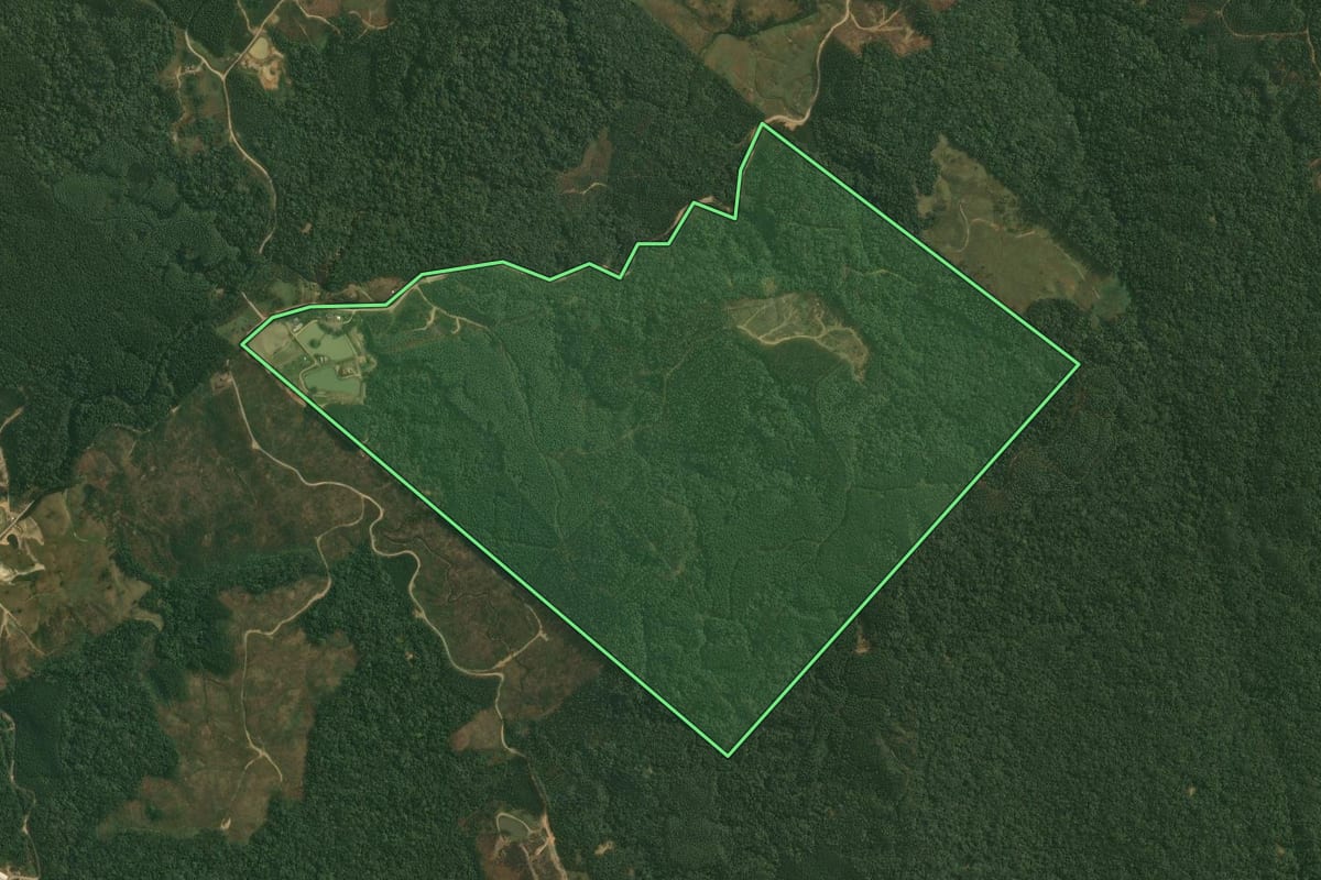 Imagem de satélite do imóvel rural em Doutor Pedrinho (SC), com o contorno declarado no CAR desenhado por cima.