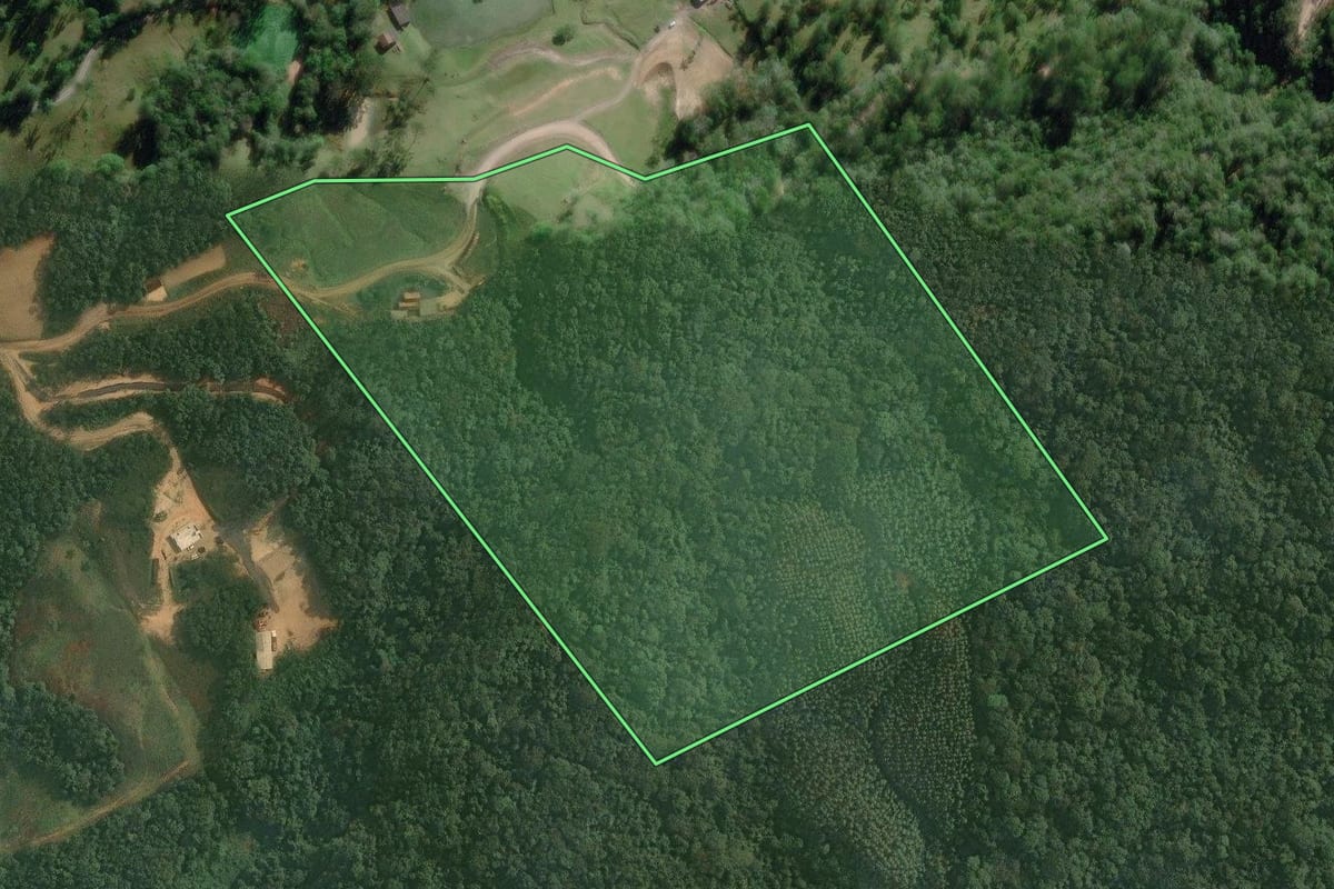 Imagem de satélite do imóvel rural em Doutor Pedrinho (SC), com o contorno declarado no CAR desenhado por cima.