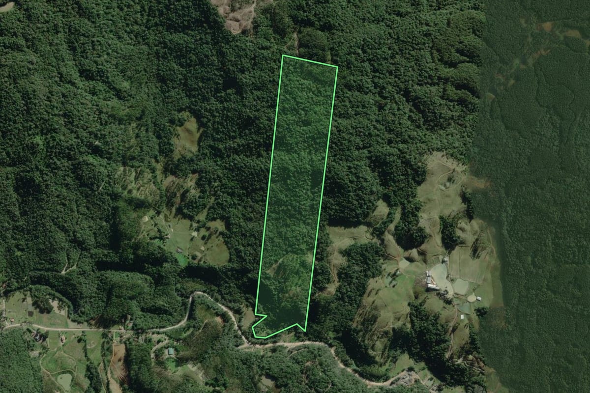 Imagem de satélite do imóvel rural em Doutor Pedrinho (SC), com o contorno declarado no CAR desenhado por cima.