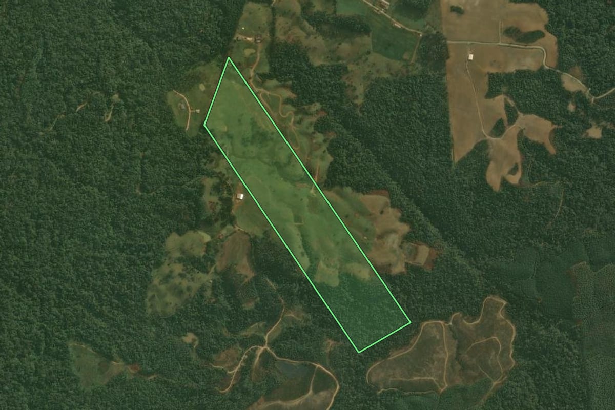 Imagem de satélite do imóvel rural em Doutor Pedrinho (SC), com o contorno declarado no CAR desenhado por cima.