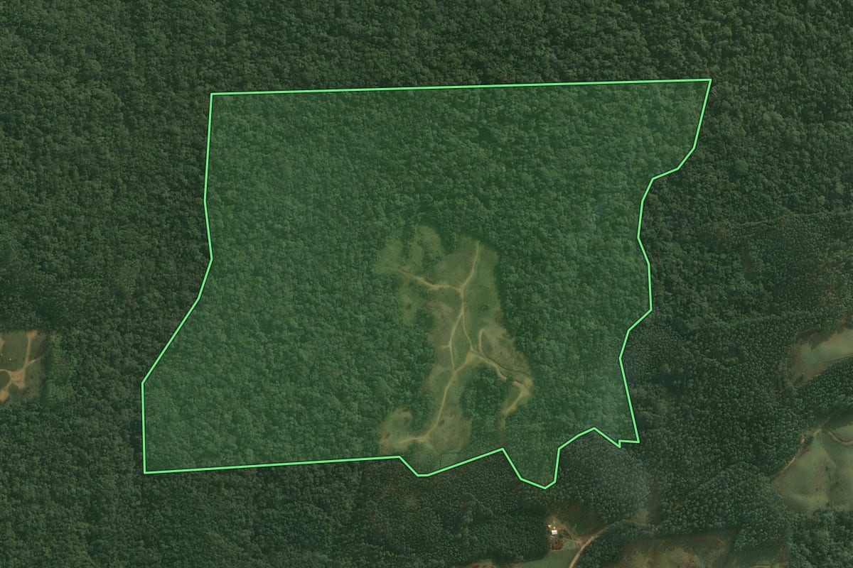 Imagem de satélite do imóvel rural em Doutor Pedrinho (SC), com o contorno declarado no CAR desenhado por cima.