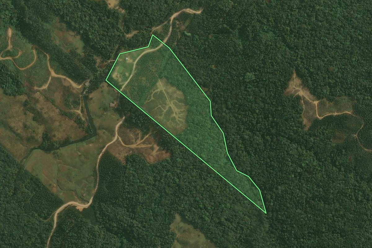 Imagem de satélite do imóvel rural em Doutor Pedrinho (SC), com o contorno declarado no CAR desenhado por cima.
