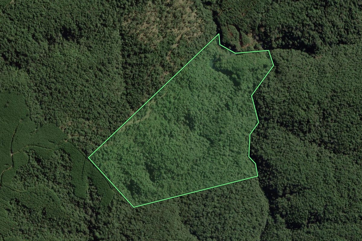 Imagem de satélite do imóvel rural em Doutor Pedrinho (SC), com o contorno declarado no CAR desenhado por cima.