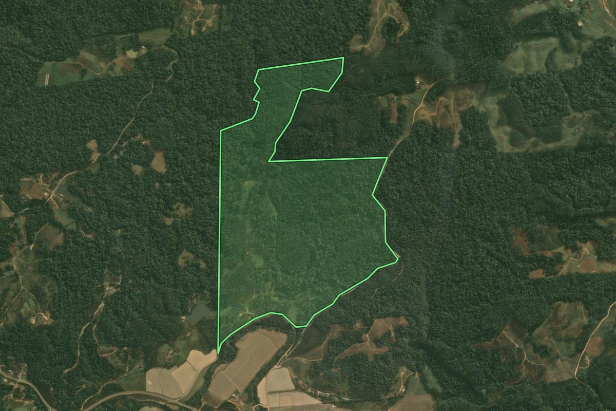 Imagem de satélite do imóvel rural em Doutor Pedrinho (SC), com o contorno declarado no CAR desenhado por cima.