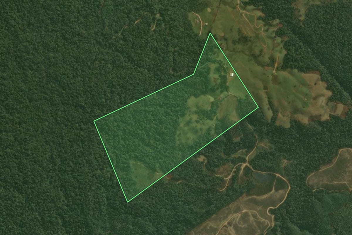 Imagem de satélite do imóvel rural em Doutor Pedrinho (SC), com o contorno declarado no CAR desenhado por cima.
