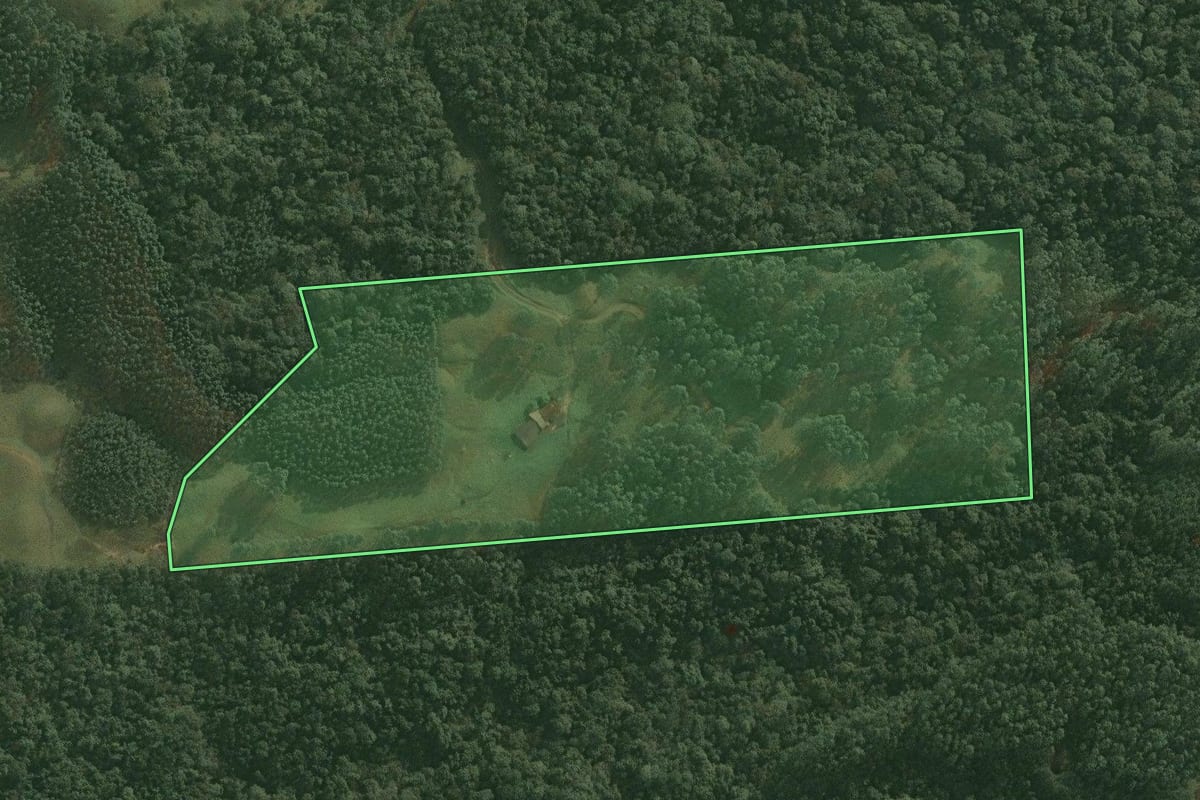 Imagem de satélite do imóvel rural em Doutor Pedrinho (SC), com o contorno declarado no CAR desenhado por cima.