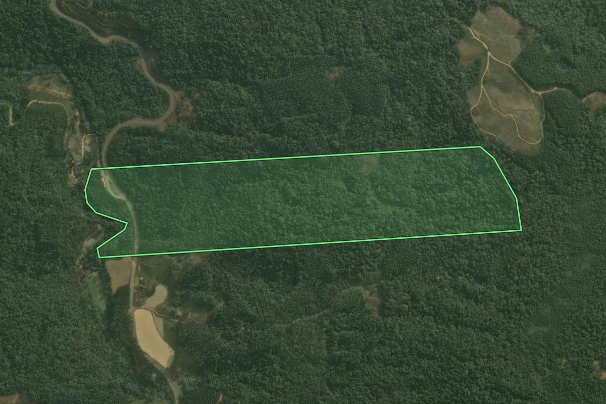 Imagem de satélite do imóvel rural em Doutor Pedrinho (SC), com o contorno declarado no CAR desenhado por cima.