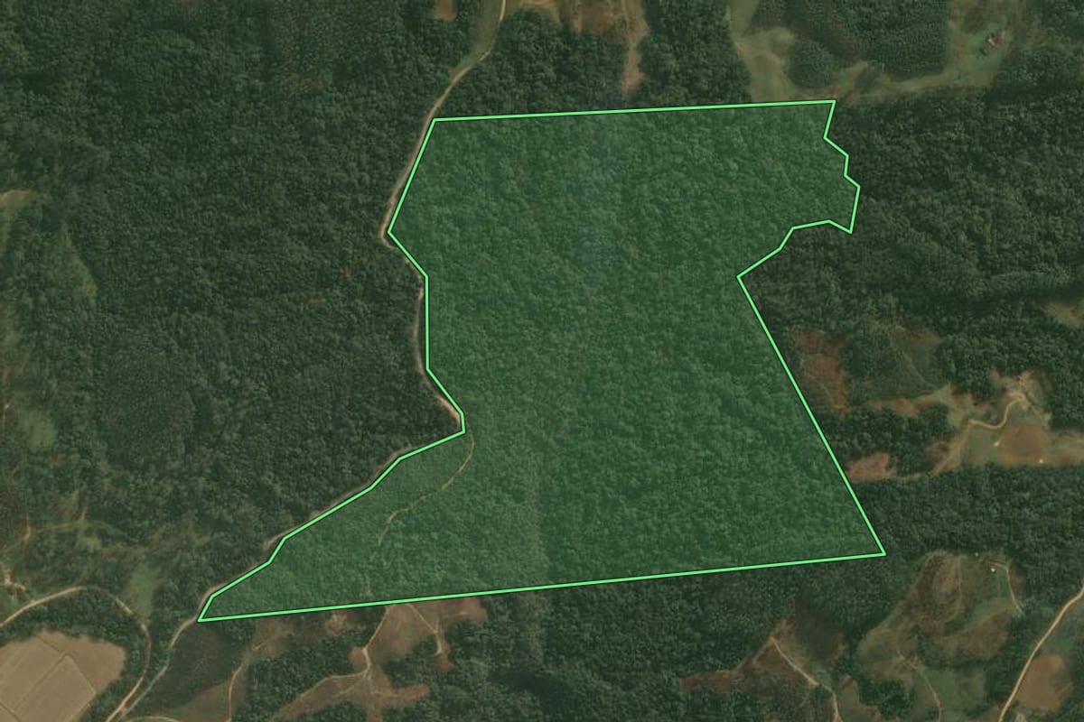 Imagem de satélite do imóvel rural em Doutor Pedrinho (SC), com o contorno declarado no CAR desenhado por cima.