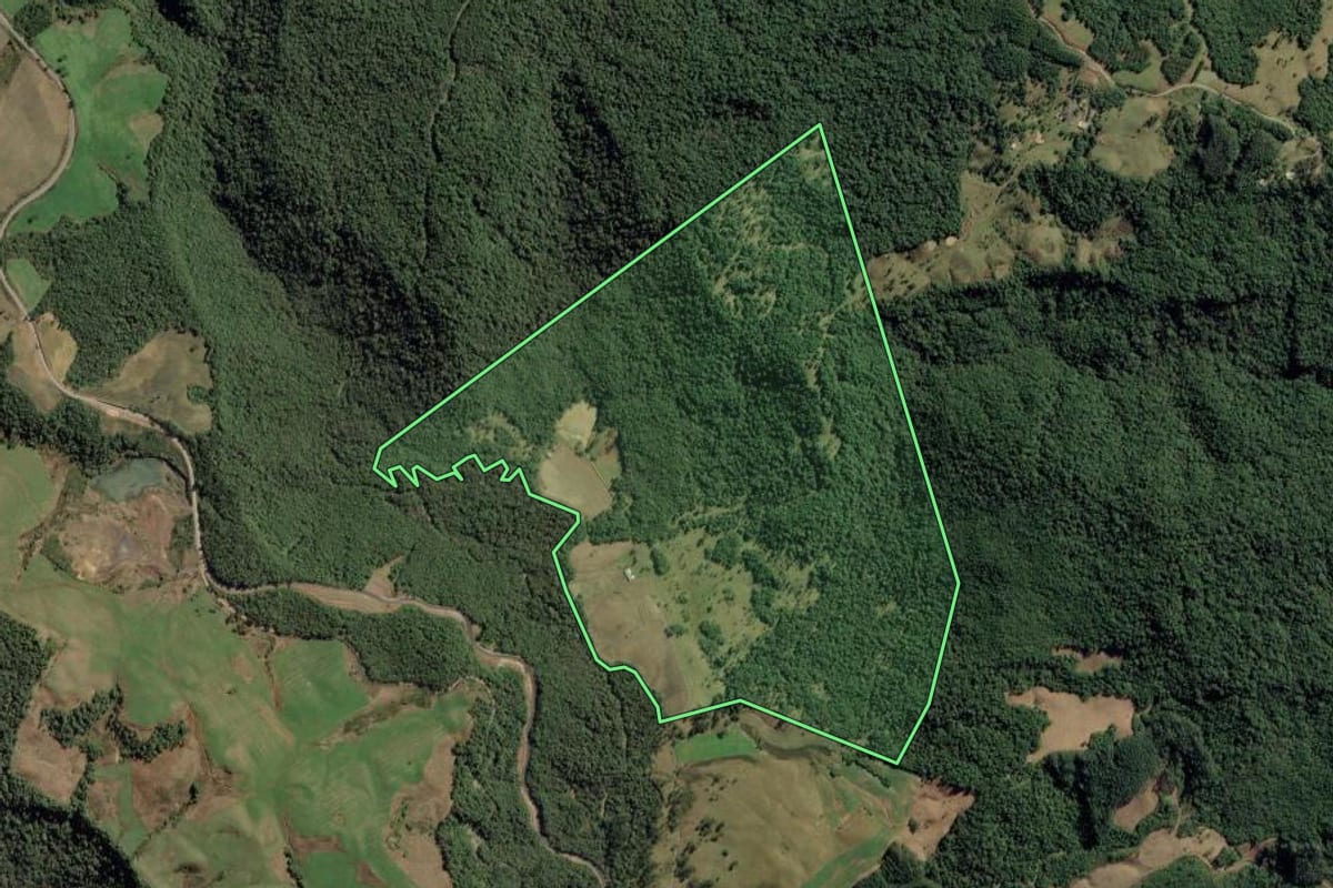 Imagem de satélite do imóvel rural em Doutor Pedrinho (SC), com o contorno declarado no CAR desenhado por cima.