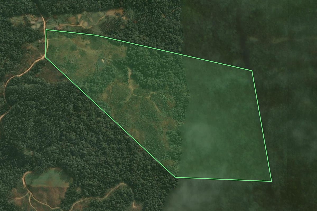 Imagem de satélite do imóvel rural em Doutor Pedrinho (SC), com o contorno declarado no CAR desenhado por cima.