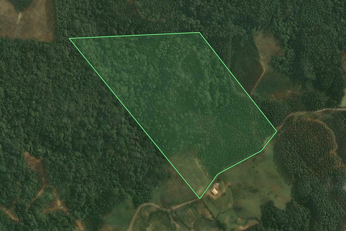 Imagem de satélite do imóvel rural em Doutor Pedrinho (SC), com o contorno declarado no CAR desenhado por cima.