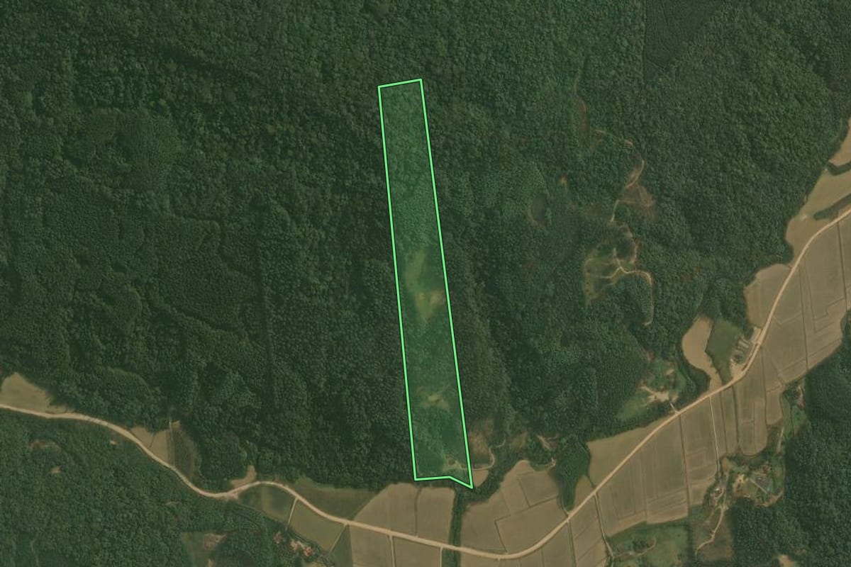 Imagem de satélite do imóvel rural em Doutor Pedrinho (SC), com o contorno declarado no CAR desenhado por cima.