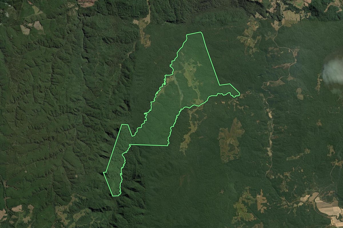 Imagem de satélite do imóvel rural em Doutor Pedrinho (SC), com o contorno declarado no CAR desenhado por cima.