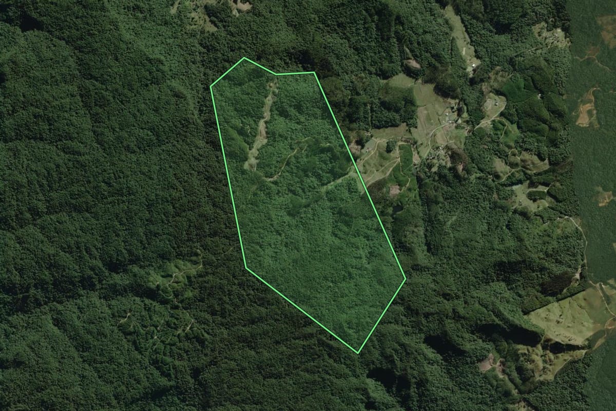 Imagem de satélite do imóvel rural em Doutor Pedrinho (SC), com o contorno declarado no CAR desenhado por cima.