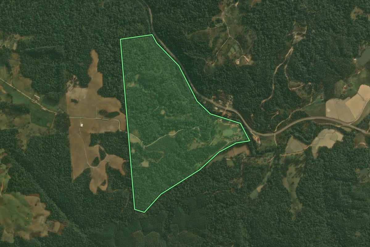 Imagem de satélite do imóvel rural em Doutor Pedrinho (SC), com o contorno declarado no CAR desenhado por cima.