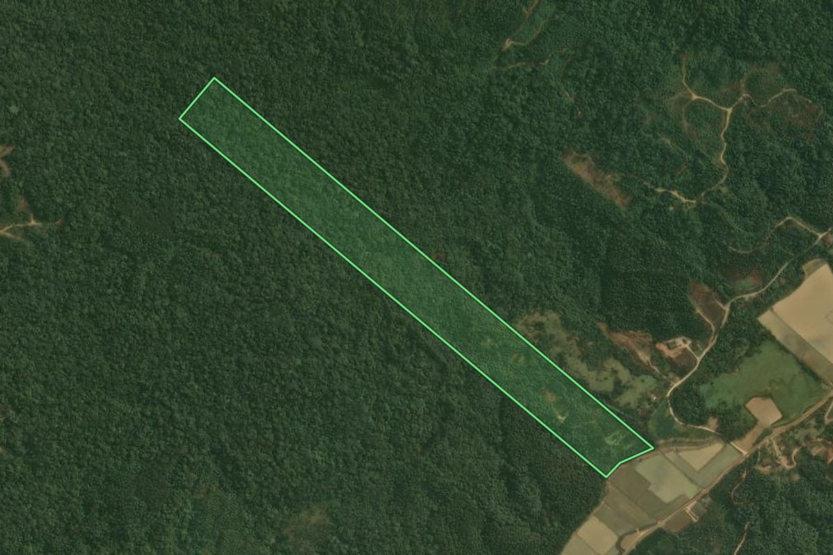 Imagem de satélite do imóvel rural em Doutor Pedrinho (SC), com o contorno declarado no CAR desenhado por cima.