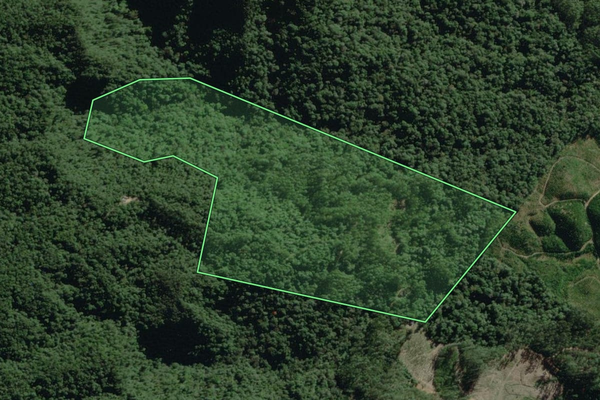 Imagem de satélite do imóvel rural em Doutor Pedrinho (SC), com o contorno declarado no CAR desenhado por cima.