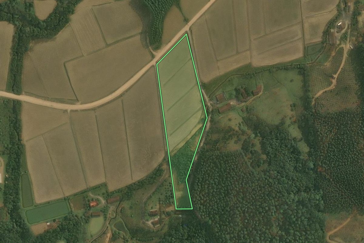 Imagem de satélite do imóvel rural em Doutor Pedrinho (SC), com o contorno declarado no CAR desenhado por cima.