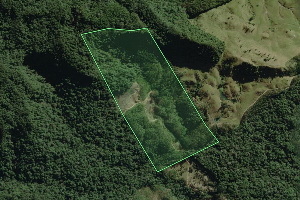 Imagem de satélite do imóvel rural em Doutor Pedrinho (SC), com o contorno declarado no CAR desenhado por cima.